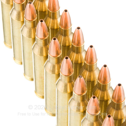 Image 5 of Nosler Ammunition .243 Winchester Ammo
