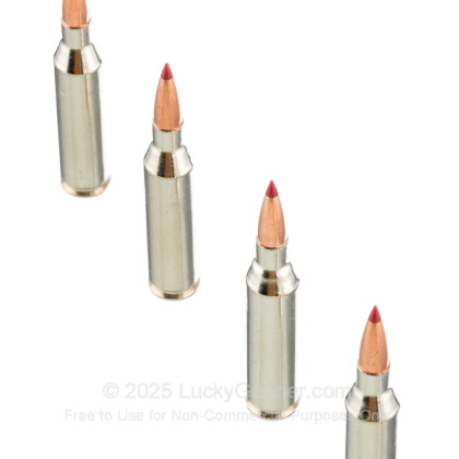 Image 5 of Federal .243 Winchester Ammo