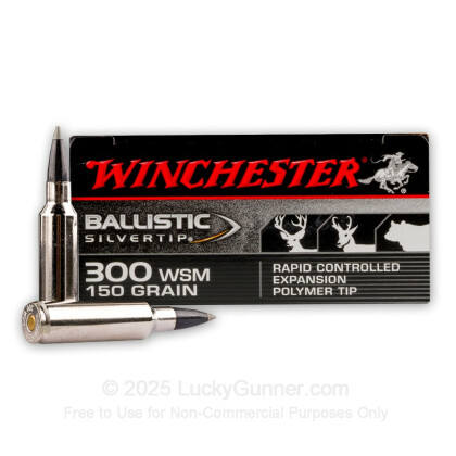Image 1 of Winchester 300 Winchester Short Magnum Ammo