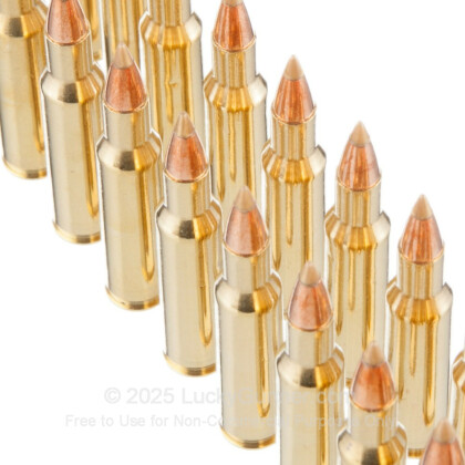 Image 5 of Remington .222 Remington Ammo