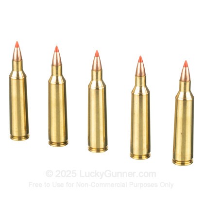 Image 4 of Federal .22-250 Remington Ammo