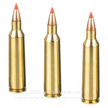 Image 5 of Federal .22-250 Remington Ammo