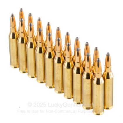 Image 4 of Sellier & Bellot .243 Winchester Ammo
