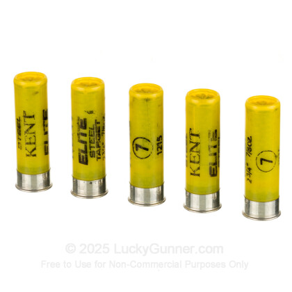 Image 6 of Kent 20 Gauge Ammo
