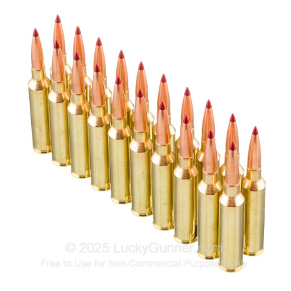 Large image of Premium 7mm PRC Ammo For Sale - 175 Grain ELD-X Ammunition in Stock by Hornady Precision Hunter - 20 Rounds