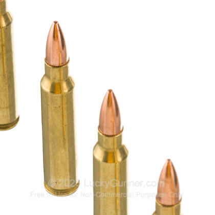 Image 5 of BVAC .223 Remington Ammo