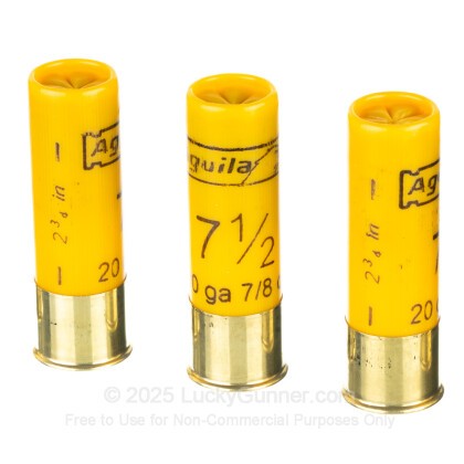 Image 5 of Aguila 20 Gauge Ammo