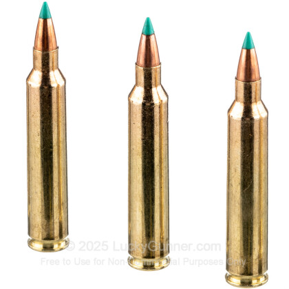 Image 5 of Sellier & Bellot .204 Ruger Ammo