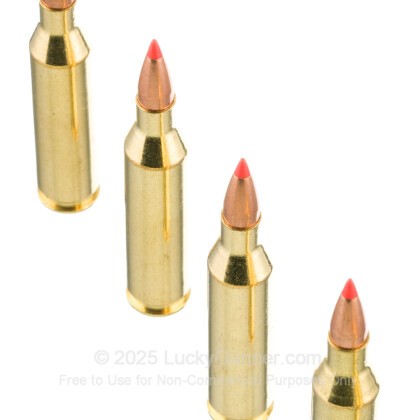 Image 5 of Federal Ammo from Federal Image 5 of Federal .243 Winchester Ammo