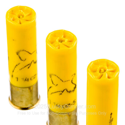 Image 5 of Winchester 20 Gauge Ammo