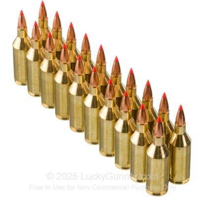 Large image of HSM Varmint 223 WSSM Ammo For Sale - 55 Grain V-MAX - 20 Rounds