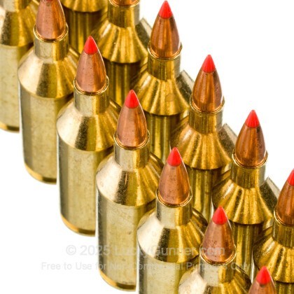 Large image of HSM Varmint 223 WSSM Ammo For Sale - 55 Grain V-MAX - 20 Rounds