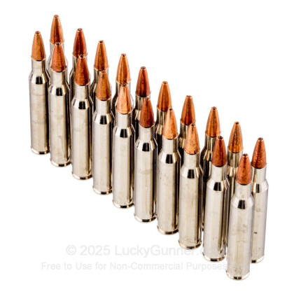 Large image of Premium 270 Ammo For Sale - 130 gr HP - Winchester Razorback XT Ammo Online - 20 Rounds