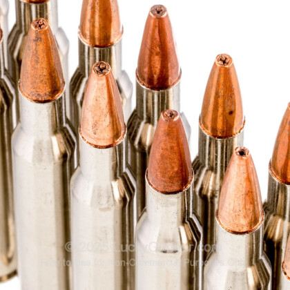 Large image of Premium 270 Ammo For Sale - 130 gr HP - Winchester Razorback XT Ammo Online - 20 Rounds