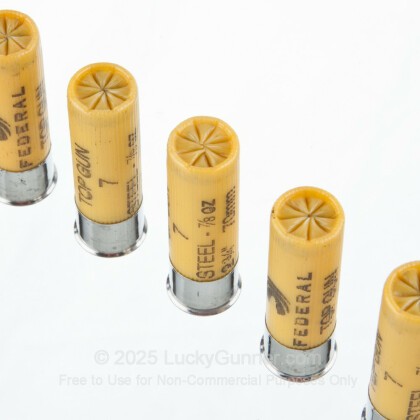 Image 5 of Federal 20 Gauge Ammo