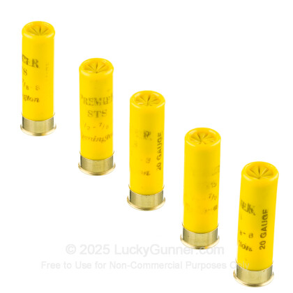 Image 4 of Remington 20 Gauge Ammo