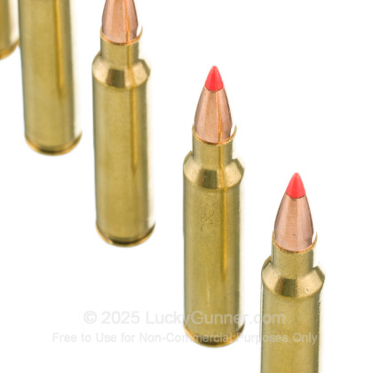 Image 5 of HSM Ammunition .223 Remington Ammo