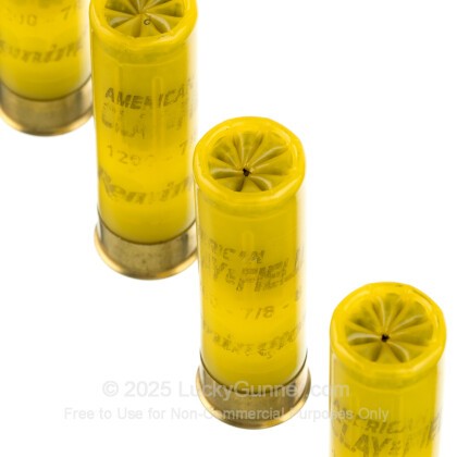Image 5 of Remington 20 Gauge Ammo