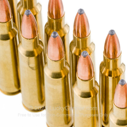 Image 5 of PCI .250 SAVAGE Ammo