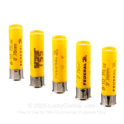 Large image of Premium 20 Gauge Ammo For Sale - 3” 1-5/8oz. #8/10 Shot Ammunition in Stock by Federal Heavyweight TSS - 5 Rounds