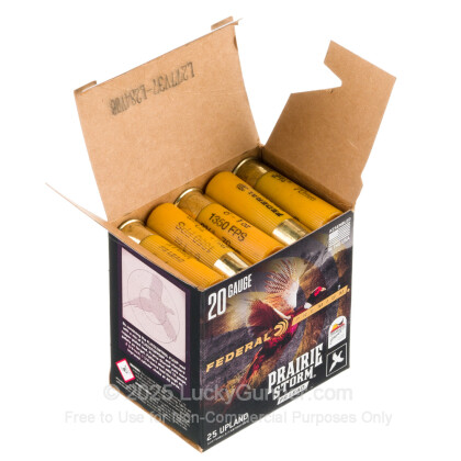 Image 3 of Federal 20 Gauge Ammo
