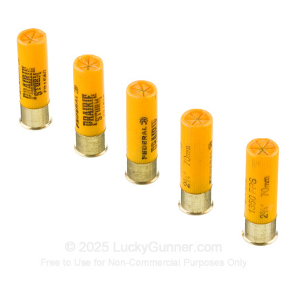 Image 4 of Federal 20 Gauge Ammo