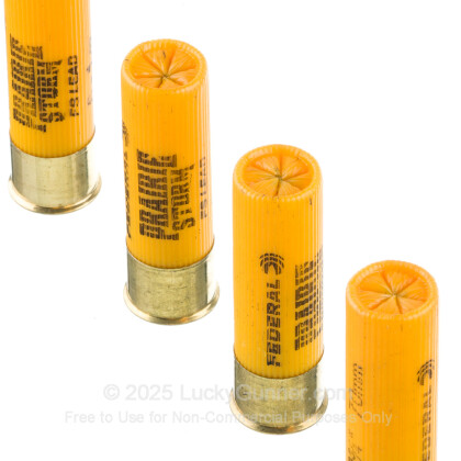 Image 5 of Federal 20 Gauge Ammo