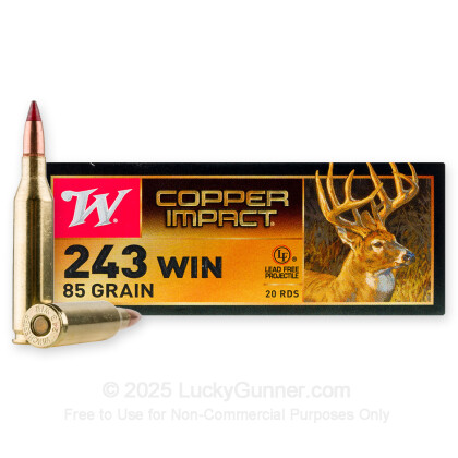 Image 1 of Winchester .243 Winchester Ammo