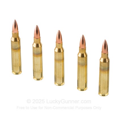 Image 4 of American Quality Ammunition 5.56x45mm Ammo