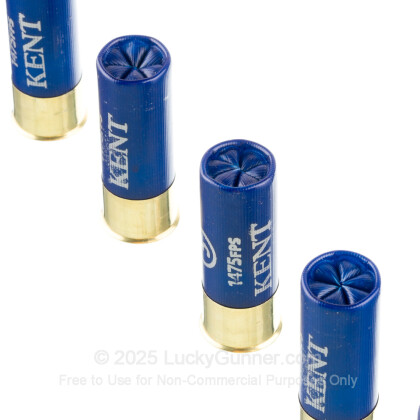 Image 5 of Kent 12 Gauge Ammo