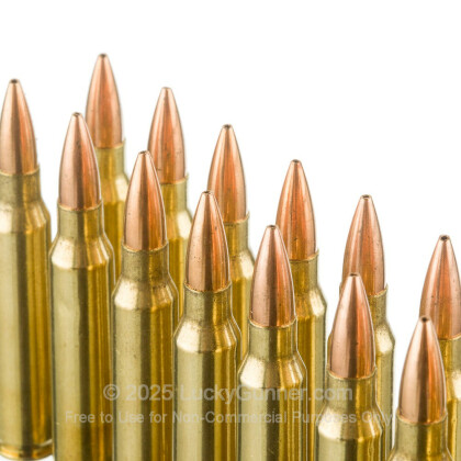 Image 5 of Winchester .223 Remington Ammo