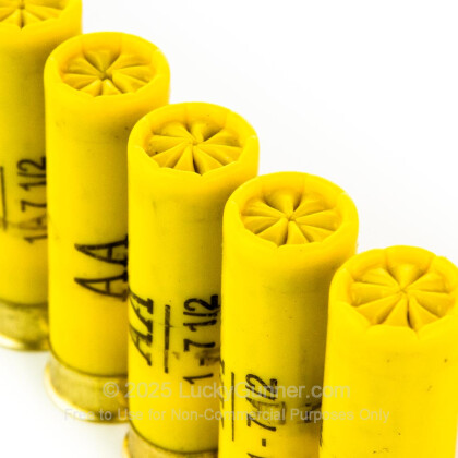 Image 5 of Winchester 20 Gauge Ammo