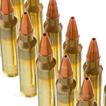 Image 5 of DoubleTap .223 Remington Ammo