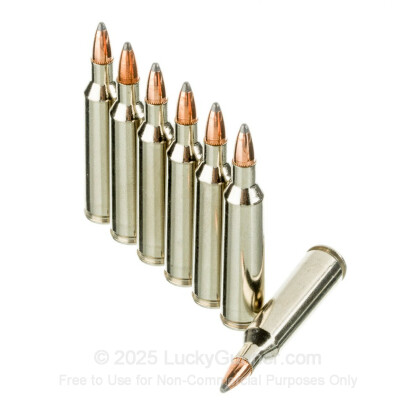 Large image of Premium 22-250 Ammo For Sale - 60 Grain Nosler Partition Ammunition in Stock by Federal Vital-Shok - 20 Rounds
