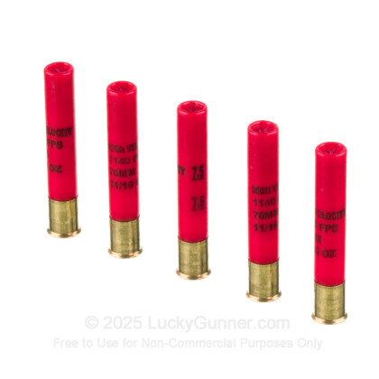 Large image of Cheap 410 Bore Ammo For Sale - 3” 11/16oz. #7.5 Shot Ammunition in Stock by Fiocchi - 25 Rounds
