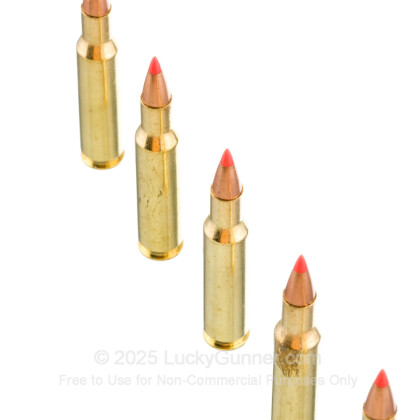 Large image of Premium 222 Rem Ammo For Sale - 50 Grain V-MAX Ammunition in Stock by Fiocchi - 200 Rounds