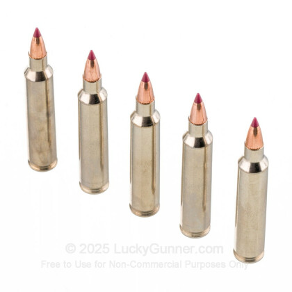 Image 4 of Federal .204 Ruger Ammo