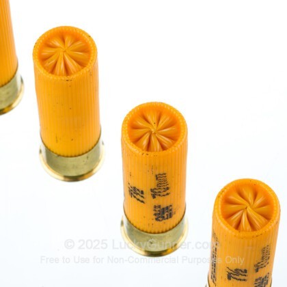 Image 5 of Federal 20 Gauge Ammo