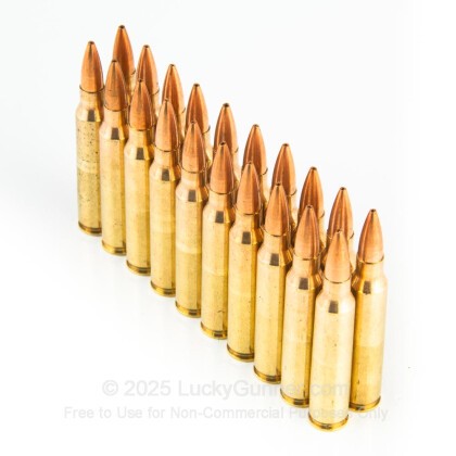 Image 4 of PMC .223 Remington Ammo