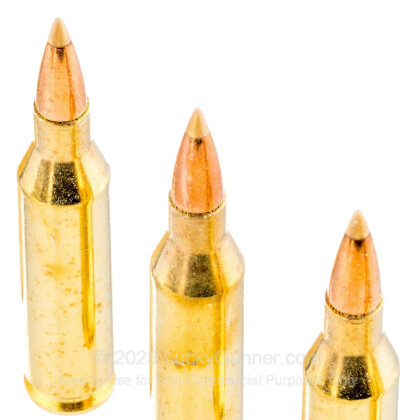 Large image of Premium 243 Win Ammo For Sale - 95 Grain Accutip Polymer Tip Ammunition in Stock by Remington Premier - 20 Rounds