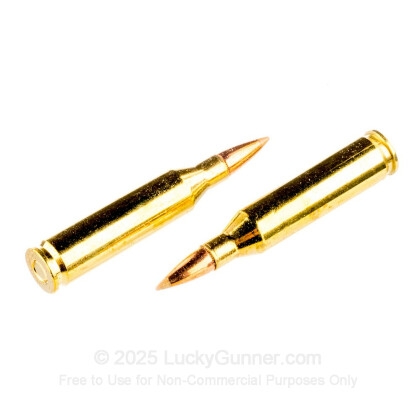 Large image of Premium 243 Win Ammo For Sale - 95 Grain Accutip Polymer Tip Ammunition in Stock by Remington Premier - 20 Rounds