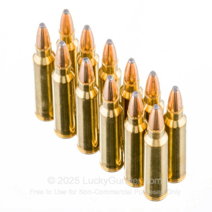 Image 4 of Federal .223 Remington Ammo
