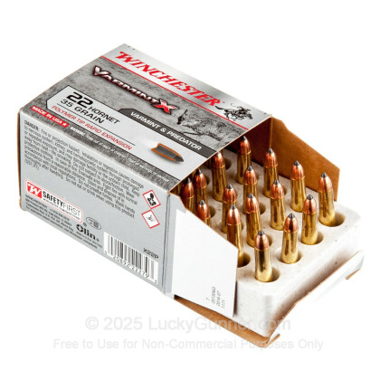 Image 3 of Winchester .22 Hornet Ammo