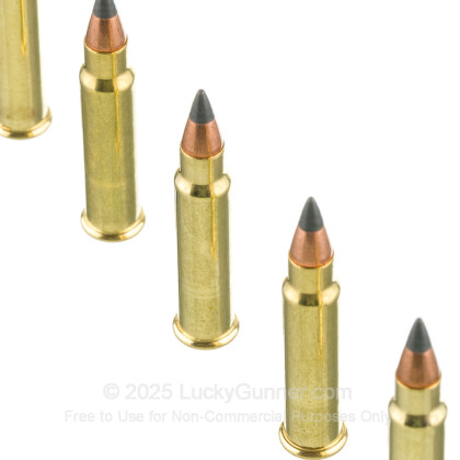 Image 5 of CCI .17 HMR Ammo