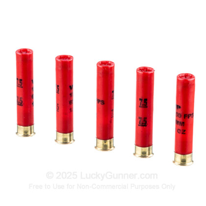 Large image of Cheap 410 Bore Ammo For Sale - 2-1/2" 1/2 oz. #7.5 Shot Ammunition in Stock by Fiocchi Exacta Target Loads - 25 Rounds