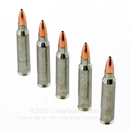 Image 4 of Silver Bear .223 Remington Ammo