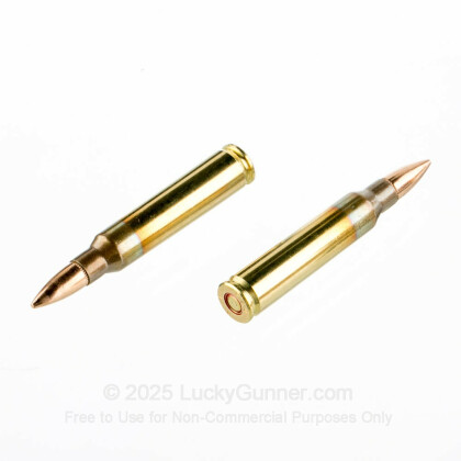 Large image of Bulk 5.56x45 XP193 PMC Ammo For Sale - 55 gr FMJ Ammunition In Stock - 1000 Rounds