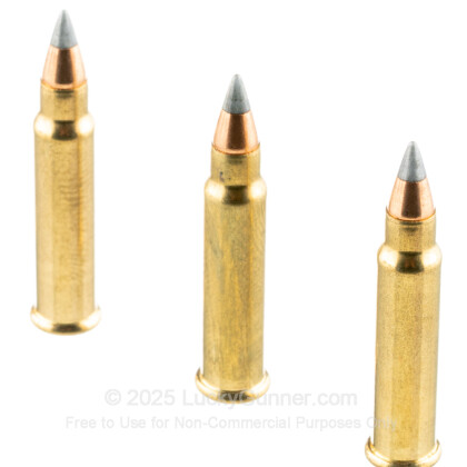 Image 5 of Winchester .17 HMR Ammo