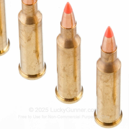 Image 5 of Hornady .17 Hornet Ammo