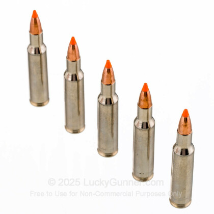 Large image of 222 Rem Premium Varmint Ammo For Sale - 50 gr Nosler Ballistic Tip - Federal Premium Ammo Online